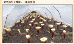 致匠心、大品牌、大投入——上海旭康生物科技有限公司