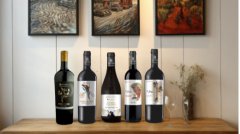 西班牙DO和PGI原产地收获季的魔力:从葡萄到葡萄酒的神奇转变