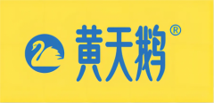 一年卖出18亿，黄天鹅到底是“智商