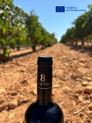 觉醒的风土：塑造＂火山传奇＂的无声力量